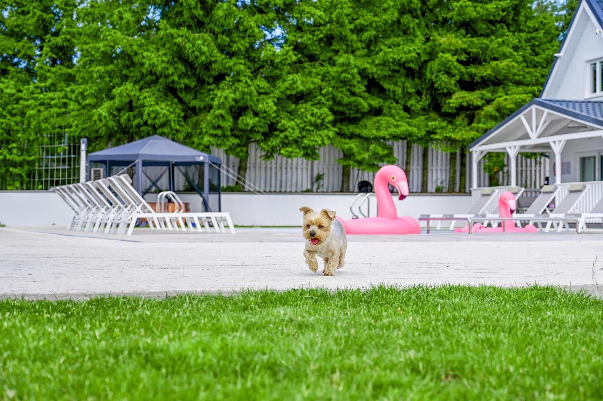 Resort Golf Kołczewo Buitenkant foto